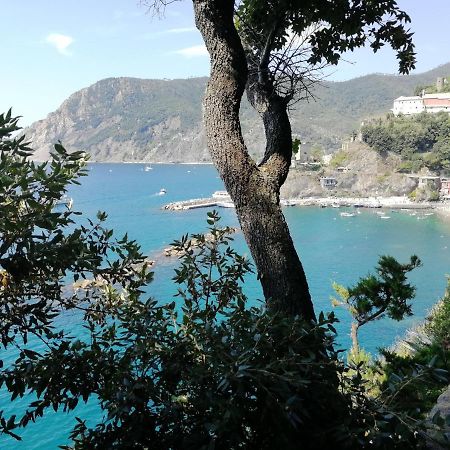 Nel Cuore Di Monterosso Cinque Terre Orto Di Ciack Монтеросо ал Маре Екстериор снимка