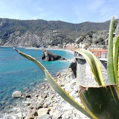 Nel Cuore Di Monterosso Cinque Terre Orto Di Ciack Монтеросо ал Маре Екстериор снимка