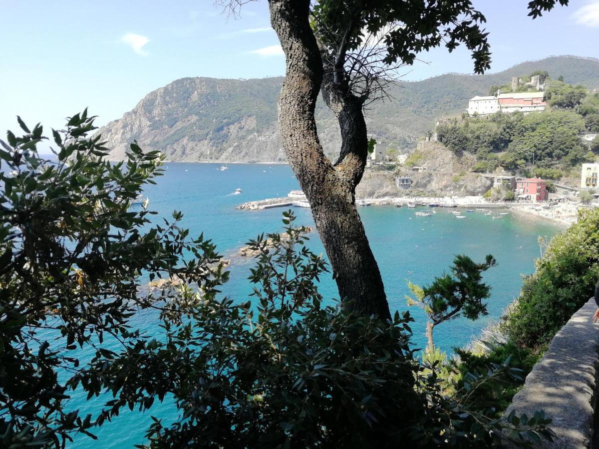 Nel Cuore Di Monterosso Cinque Terre Orto Di Ciack Монтеросо ал Маре Екстериор снимка