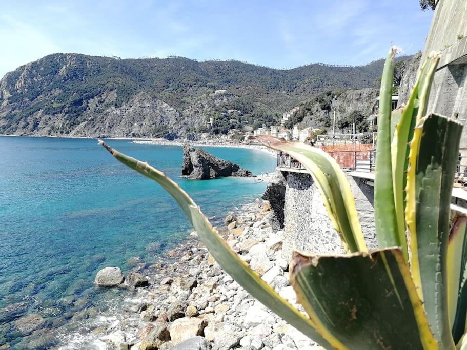 Nel Cuore Di Monterosso Cinque Terre Orto Di Ciack Монтеросо ал Маре Екстериор снимка